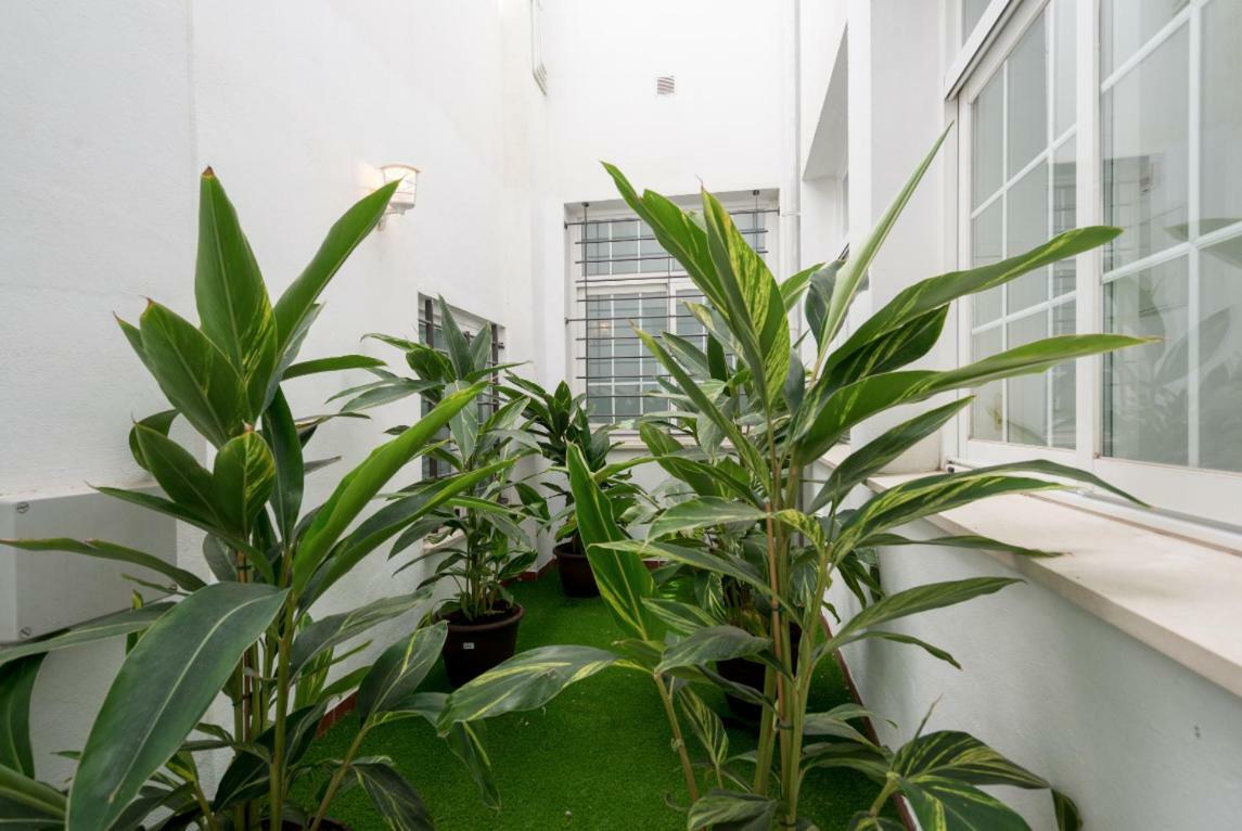Ml1C-Prime Location Marble Apartment With Patios マラガ エクステリア 写真